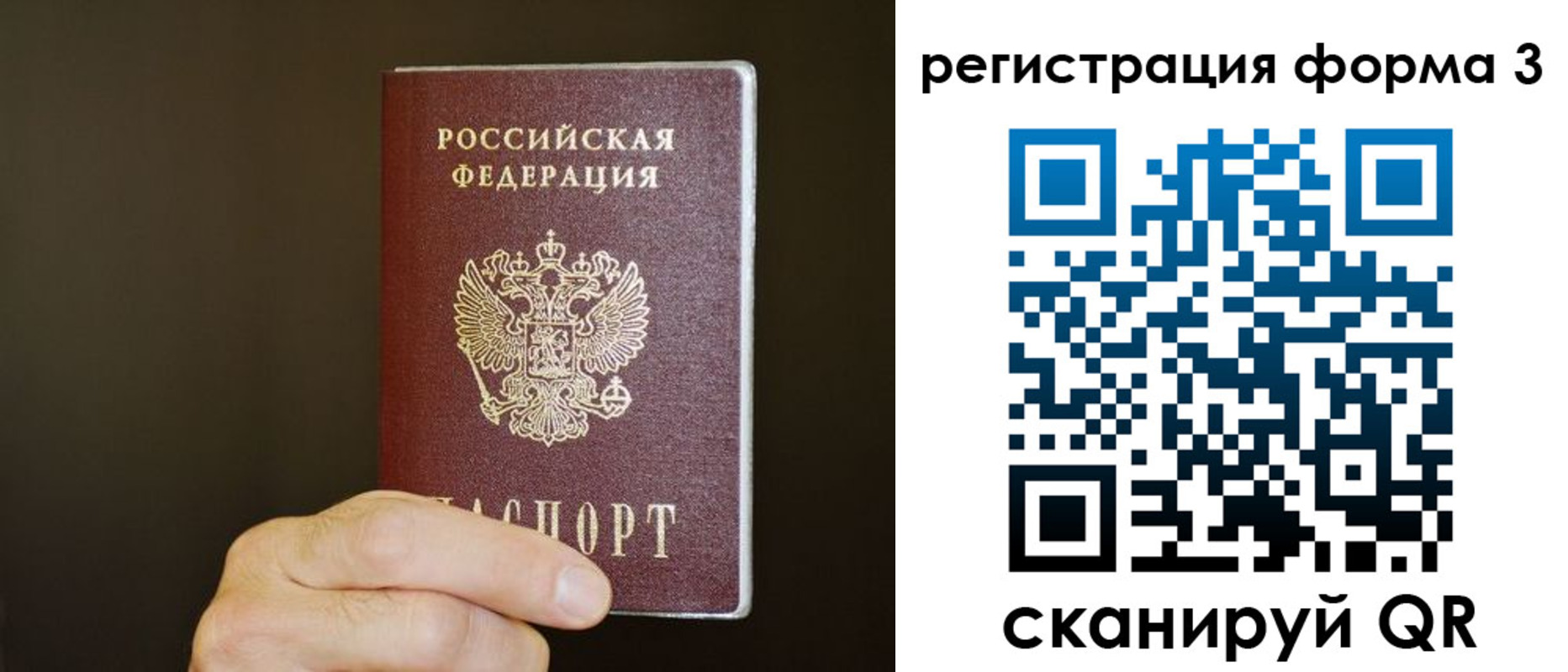 где прописаться в Струнино